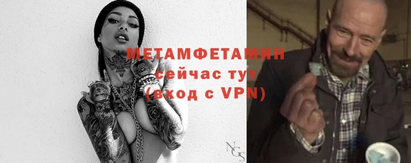 индика Верхний Тагил