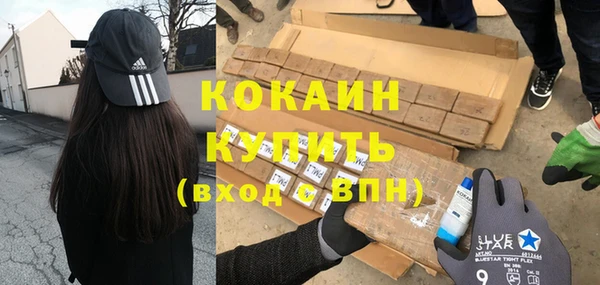 стафф Богородск
