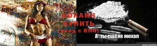 индика Верхний Тагил