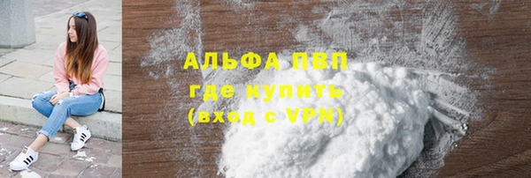 индика Верхний Тагил