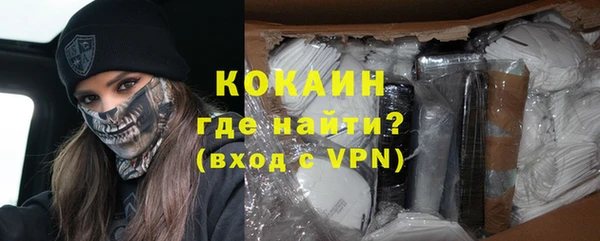 индика Верхний Тагил